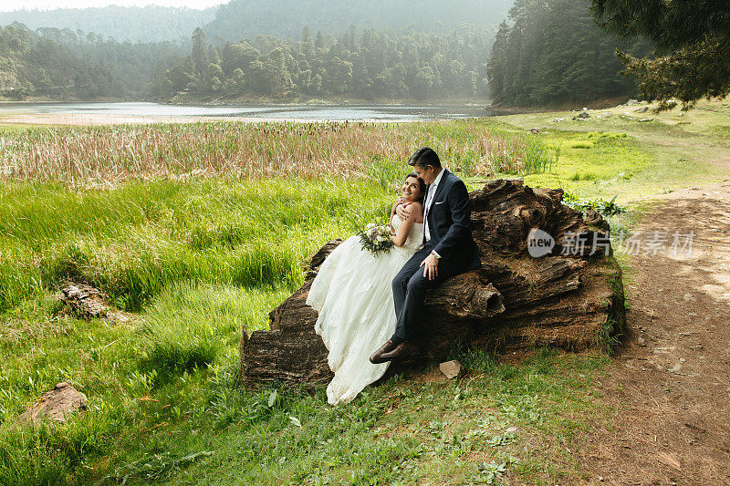 一对快乐的新婚夫妇坐在树干上