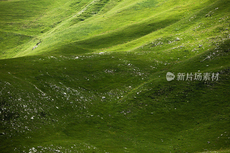 草木-高山下的山丘;