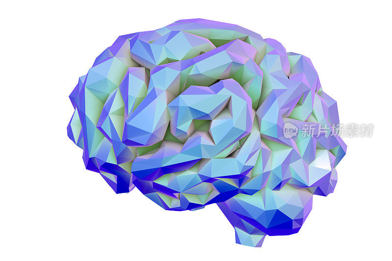 人类大脑low-polygonal