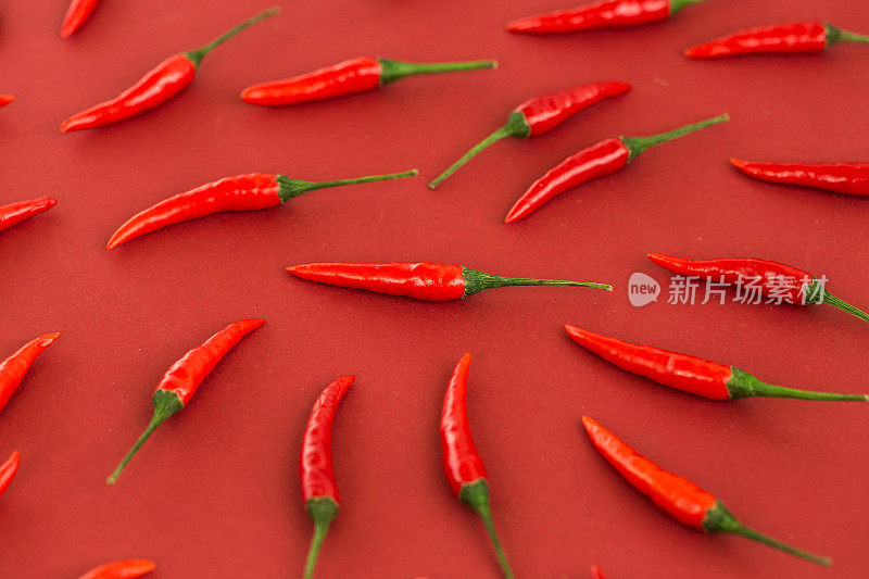 红辣椒，流行的香料概念-特写美丽的红辣椒孤立在红色的背景，绿色的尾巴，自由躺辣椒的拼贴，俯视图，平lay