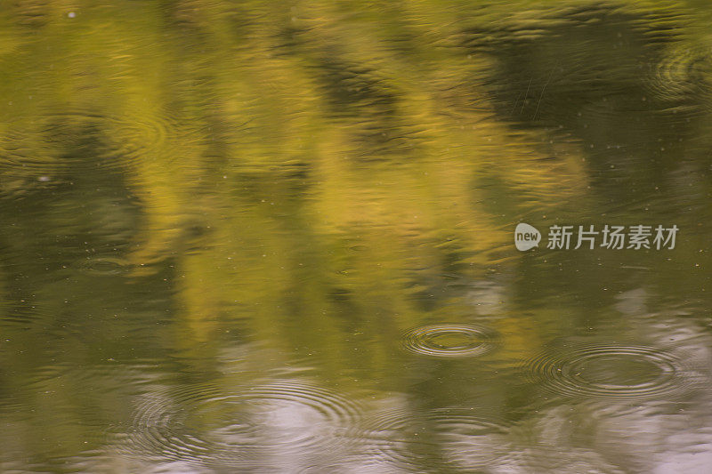 雨水落在河水上