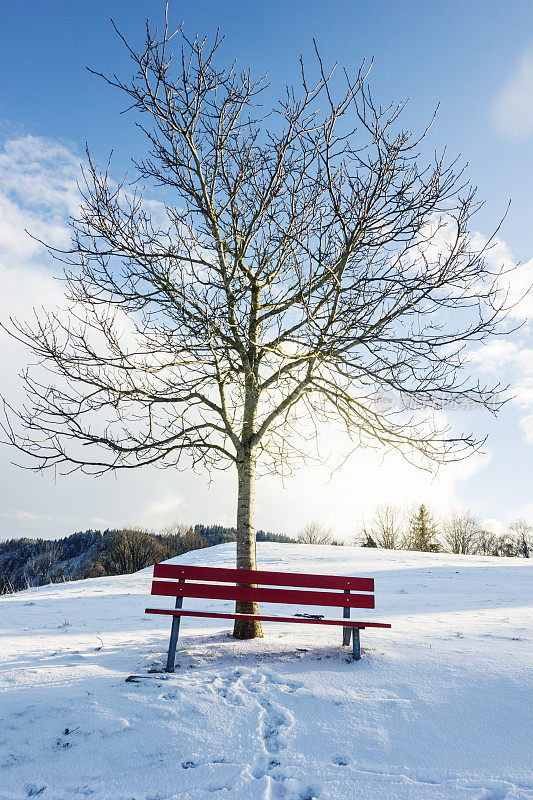 冬天的风景与白雪覆盖的红色长凳