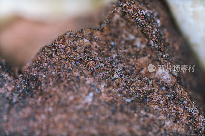 长石砂岩矿物样品在光镜下