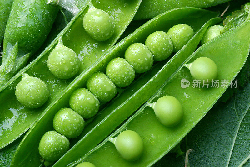 青豌豆