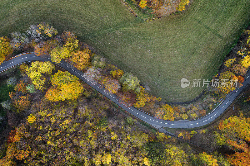 穿越秋天森林的道路-鸟瞰图