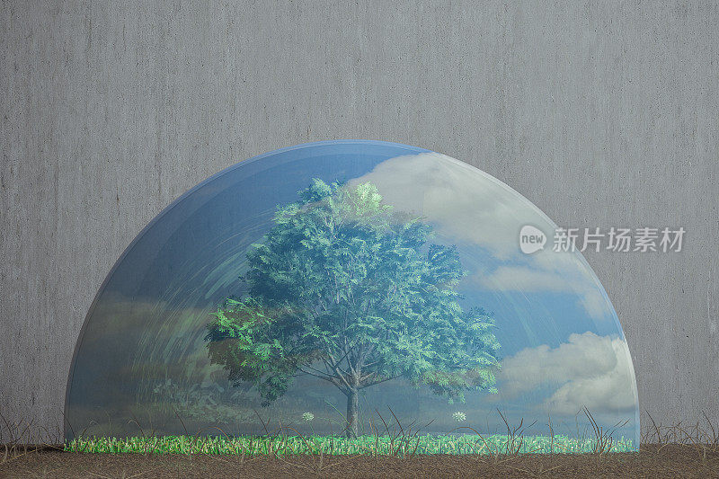 一棵绿色的草和一棵生长在玻璃穹顶下的树的概念图像，作为气候变化的象征。穹顶外燃烧的干草和混凝土墙纹理作为背景