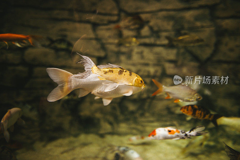 礁水族馆场景