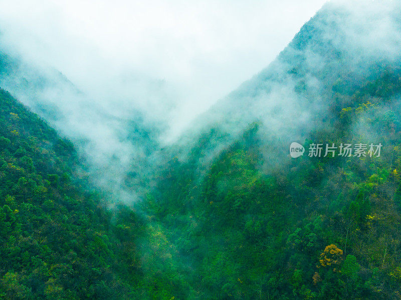 山上有雾，下雨天