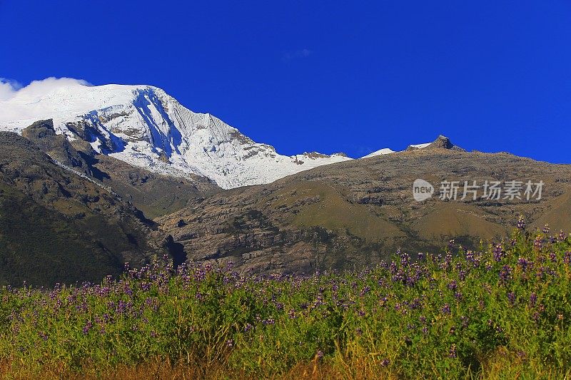 卡帕山和盛开在日出中的野花――科迪勒拉-布兰卡，秘鲁