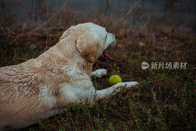 和你最好的朋友一起享受夏日