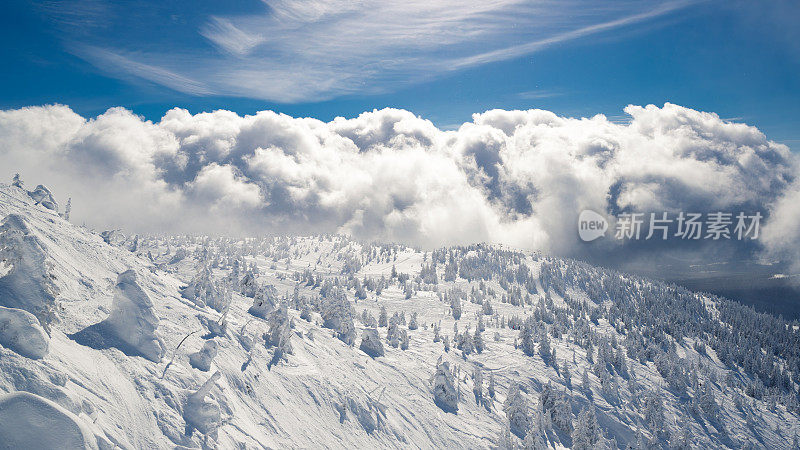 滑雪的背景