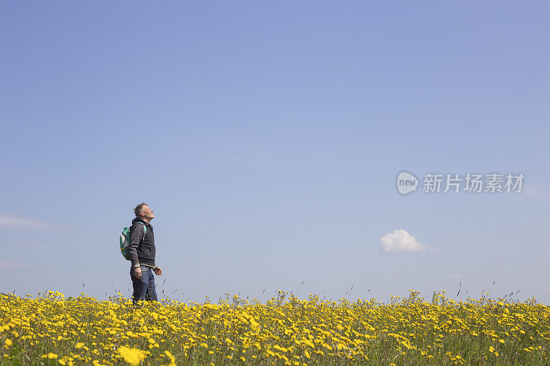 成年徒步旅行者喜欢在春天在美丽的花草地徒步旅行。