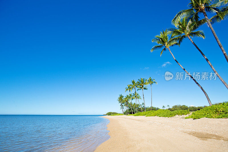 夏威夷莫洛凯岛的海滩