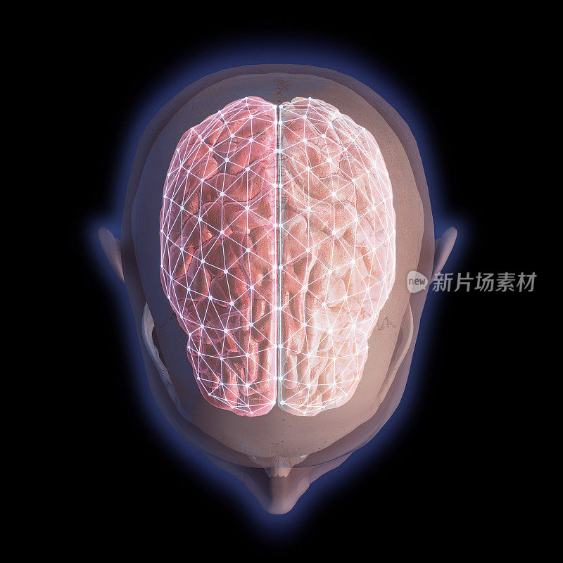 人类头部的俯视图显示脑网络节点在黑色