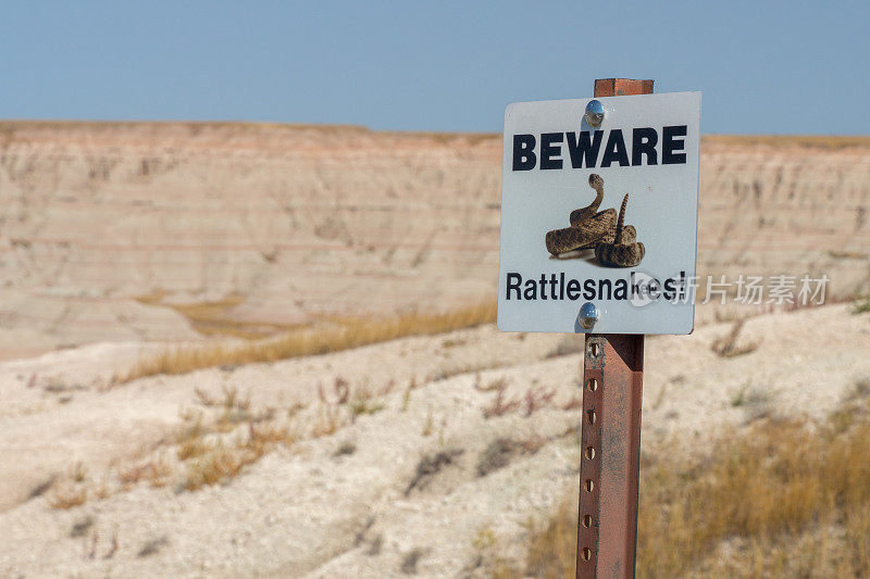 警惕响尾蛇标志在南Badlands，达科他