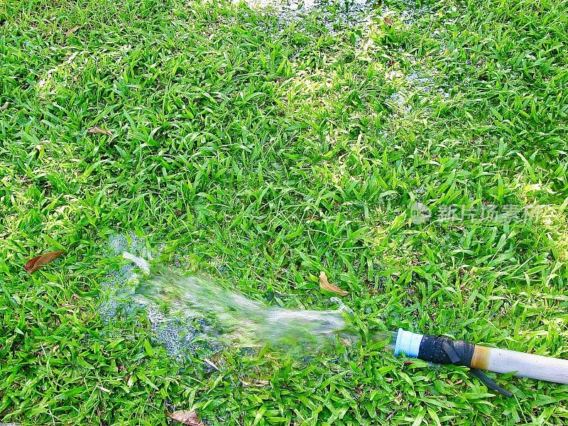 水从花园软管在草地上流动