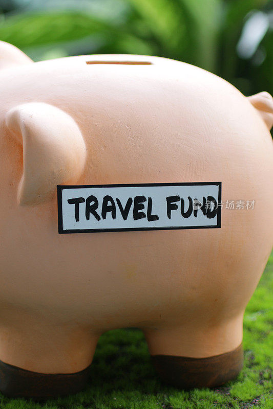 特写图像的小猪银行与插槽顶部与旅行基金标签，家庭财务和储蓄的概念