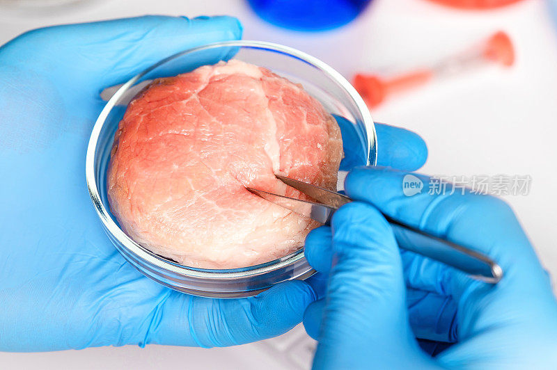 .Synthetic肉类生产。在实验室检查产品的适用性。人造肉是未来的食品。试管肉。