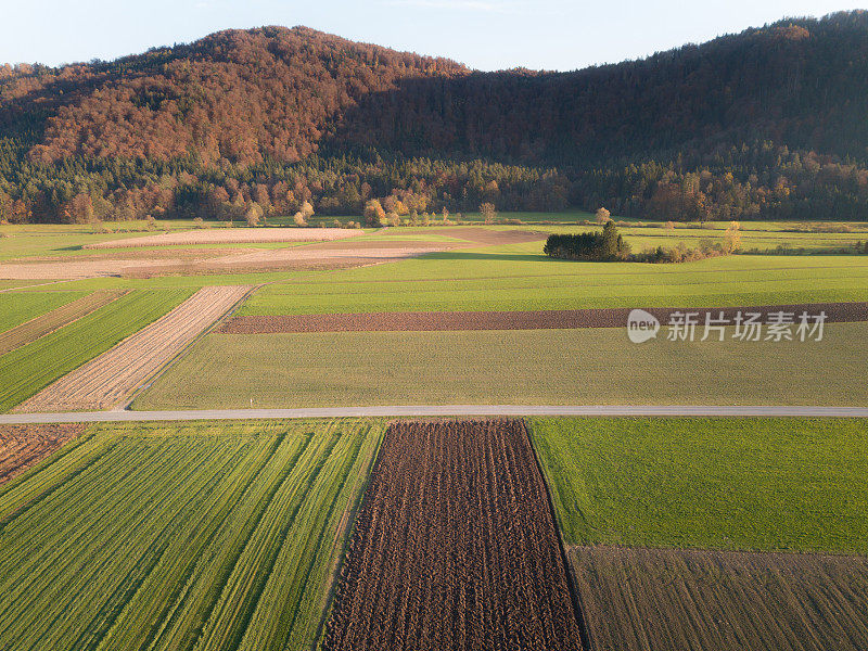 道路和田野景观从上面