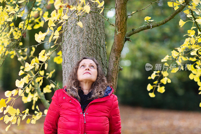 成熟的女人在户外秋天倚在银杏树