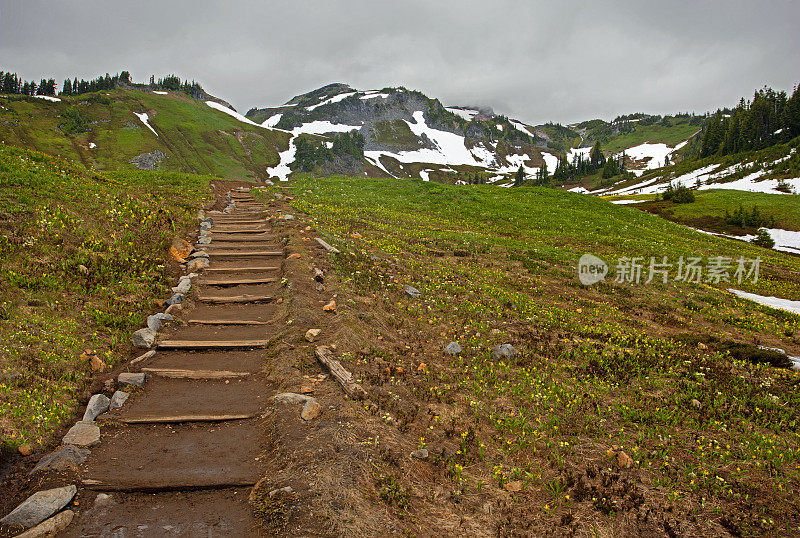 雷尼尔山人行道