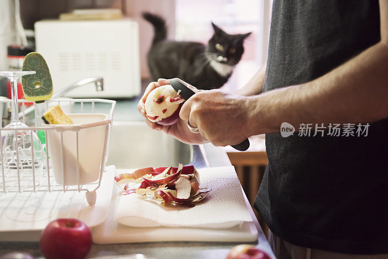 爱管闲事的4个月小猫扰乱男人剥苹果。