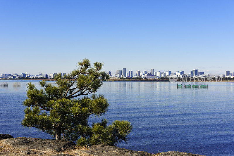 从东京湾地区在东京城市天际线对晴朗的天空