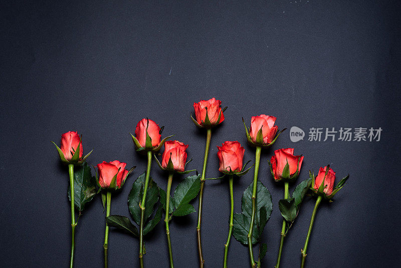 深色背景上的红玫瑰插花