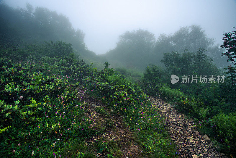 山间小路