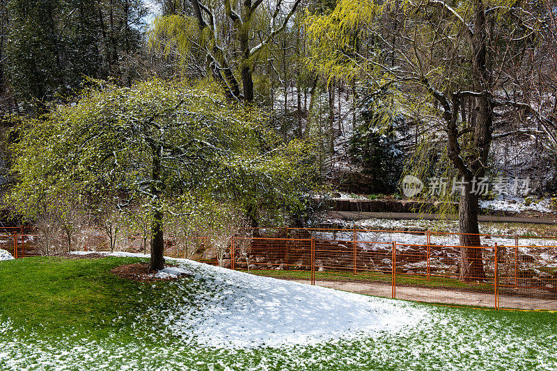 爱德华花园与雪在春天，多伦多，加拿大