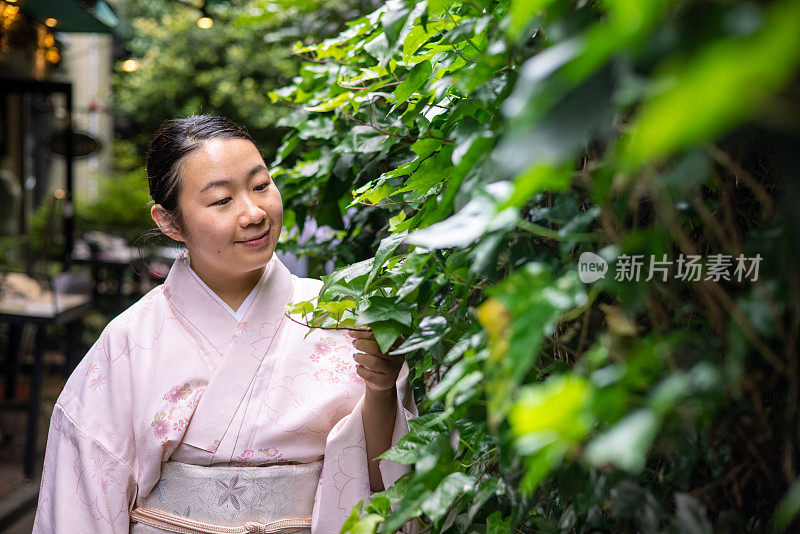 穿着和服的日本妇女在街上看绿叶