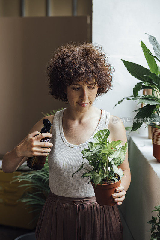 爱好园艺:一个微笑的白人妇女在家里清洁她的植物的肖像