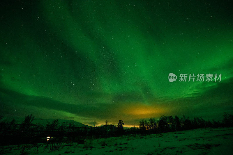 北极光在夜空中，山峦和云杉的轮廓