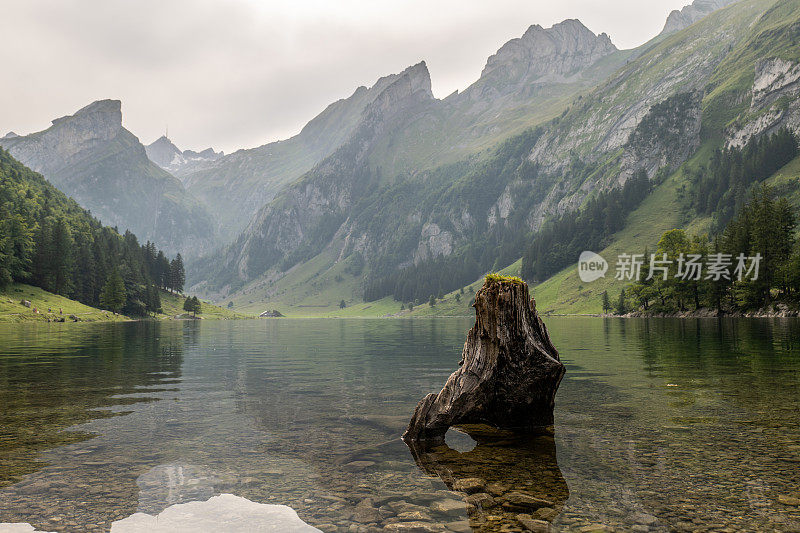 日落时美丽的高山湖泊，阳光照在山脊上，反射在水面上