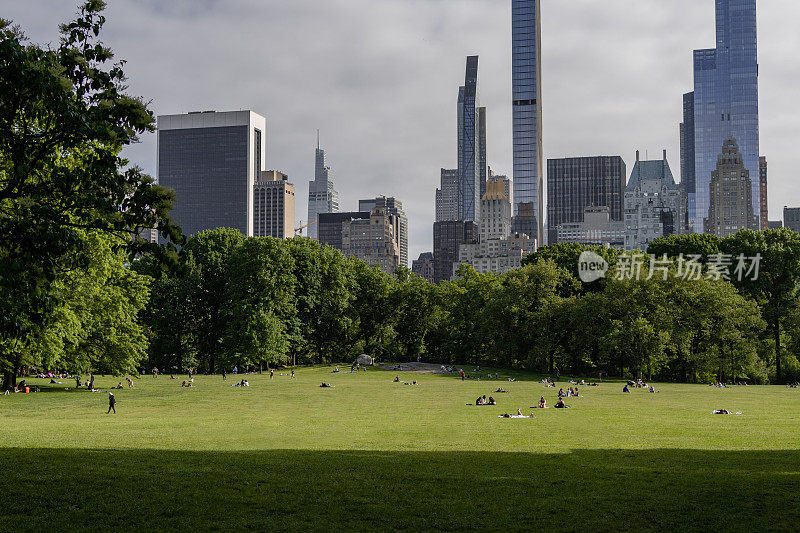 人们在中央公园的草地上放松
