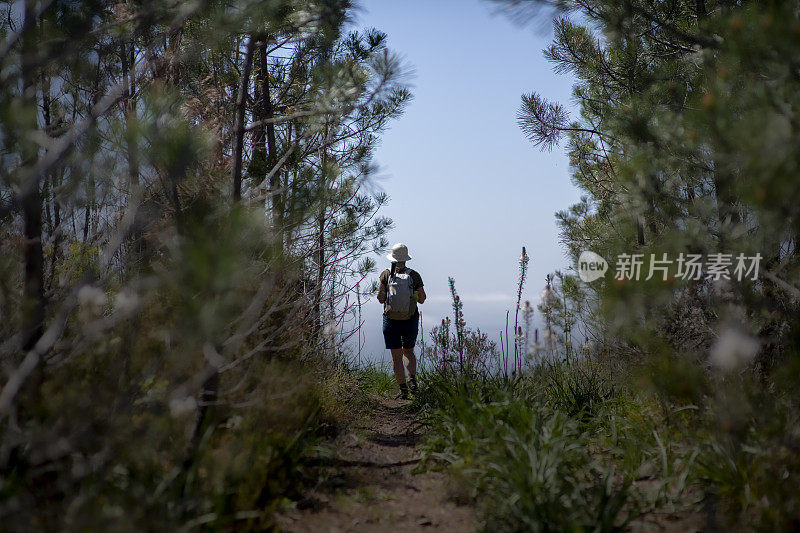 地中海森林中一条小路上一个女人的剪影