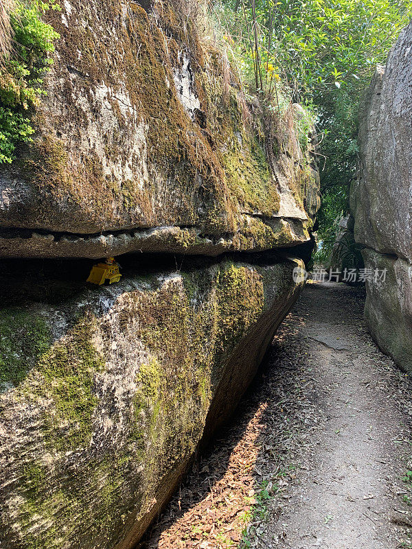 迷宫岩石栈道，高卡，金湾，新西兰