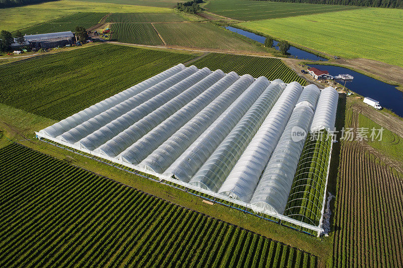 从空中俯瞰，可以看到种植草莓的温室。国家农业