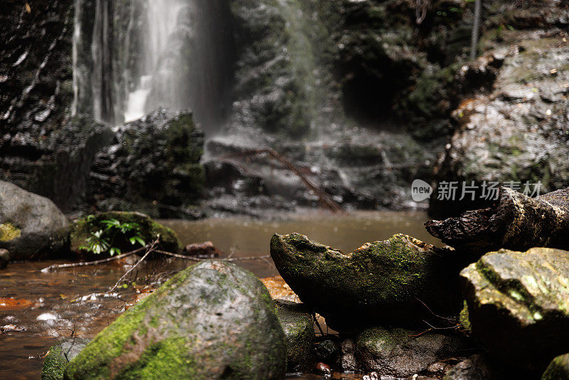 在澳大利亚的热带雨林中，长满苔藓的巨石和流淌的美丽溪流