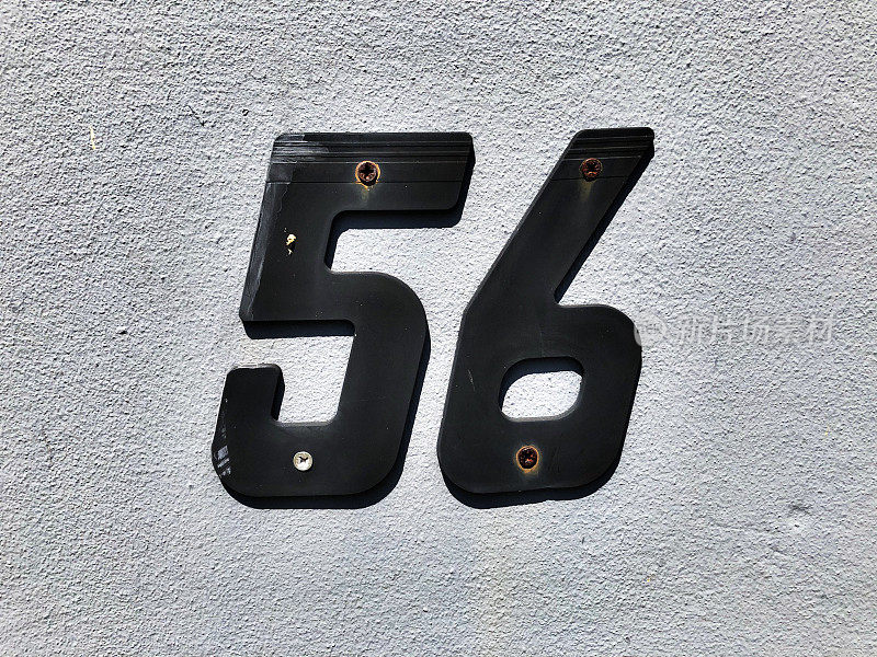56号