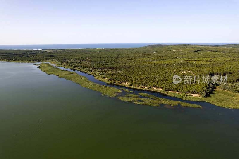 蔚蓝的湖泊和绿色的森林在一个阳光明媚的夏日鸟瞰图