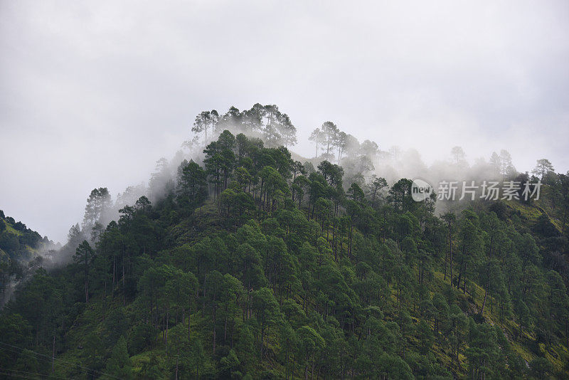 从喜马拉雅山到Haridwar