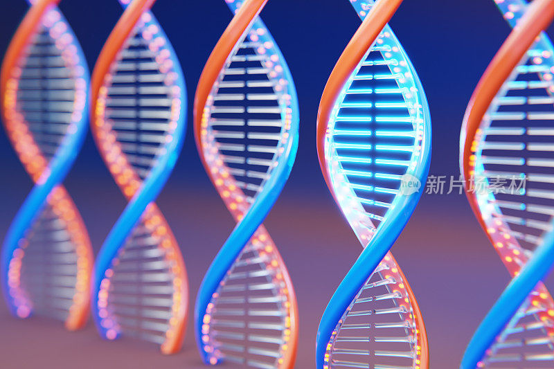 DNA序列螺旋DNA编码结构