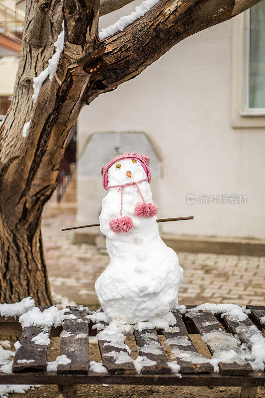 雪的女人