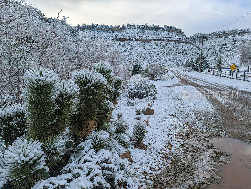 新雪在洛克维尔沿着桥路在果园和牧场与南梅萨为背景