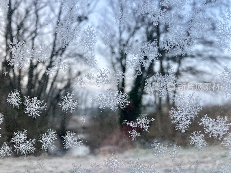 雪花，自然而寒冷