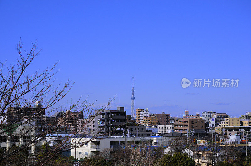 从东京江户川的渚公园(Kasai)看到的天空树