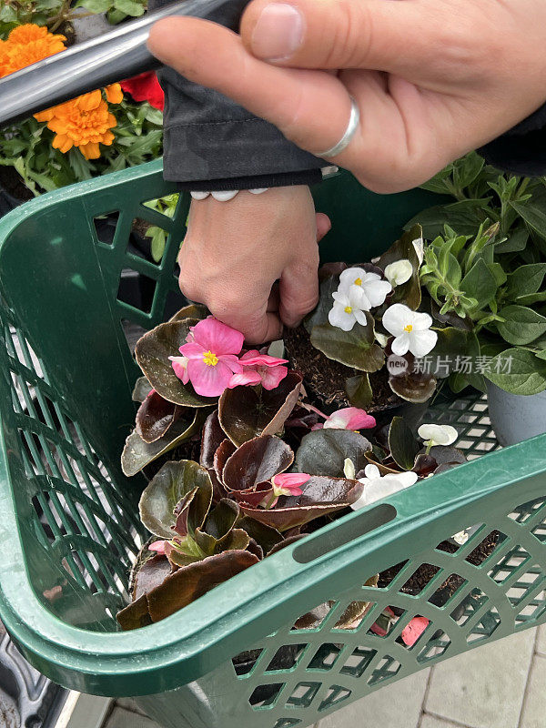 在花店买花和蔬菜