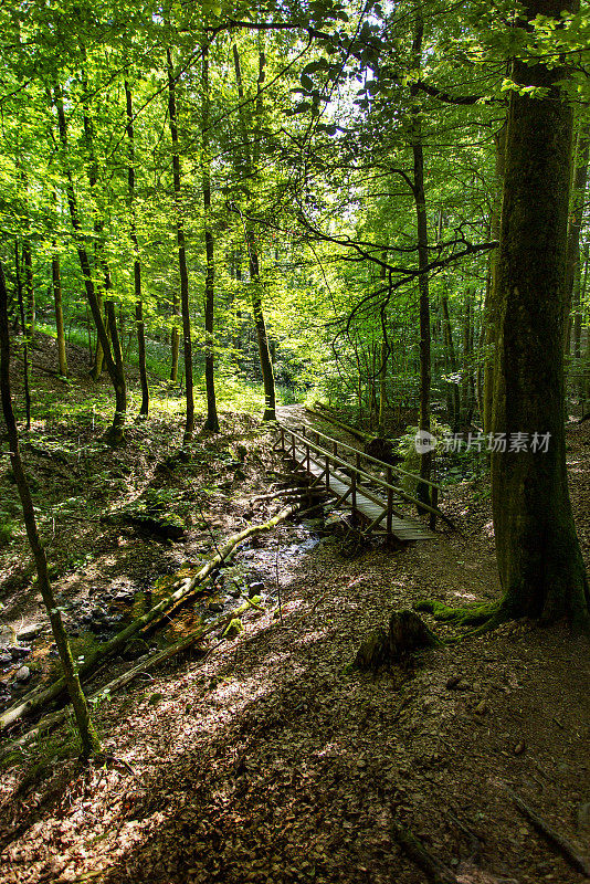 小峡谷和小溪，生物圈保护区Rhön，德国
