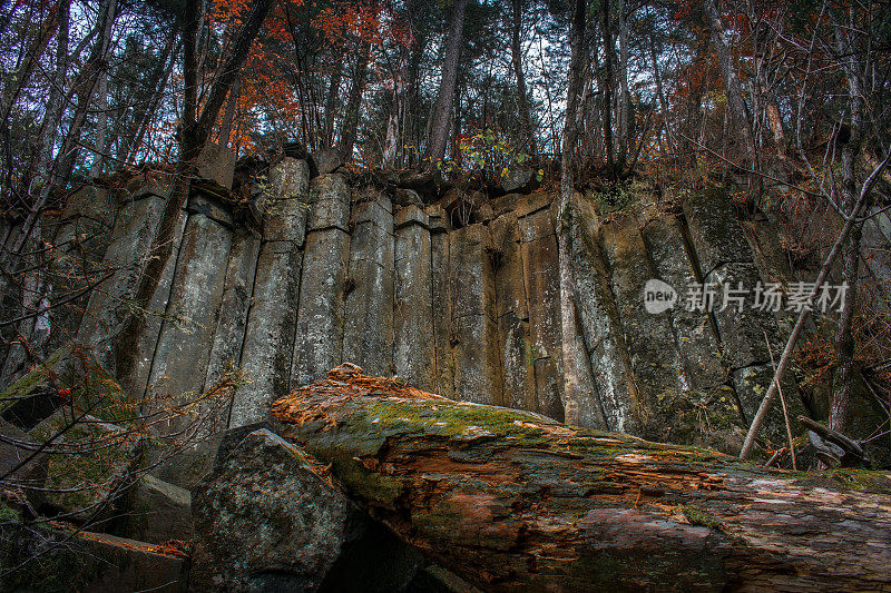 天然山墙在森林中由六角形火山柱横穿而成。